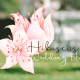 Hibiscus Wedding Hire