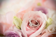 Amanda Wignell 3: 9311 - WeddingWise Lookbook - wedding photo inspiration