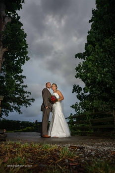 Alex and Brendon: 13117 - WeddingWise Lookbook - wedding photo inspiration