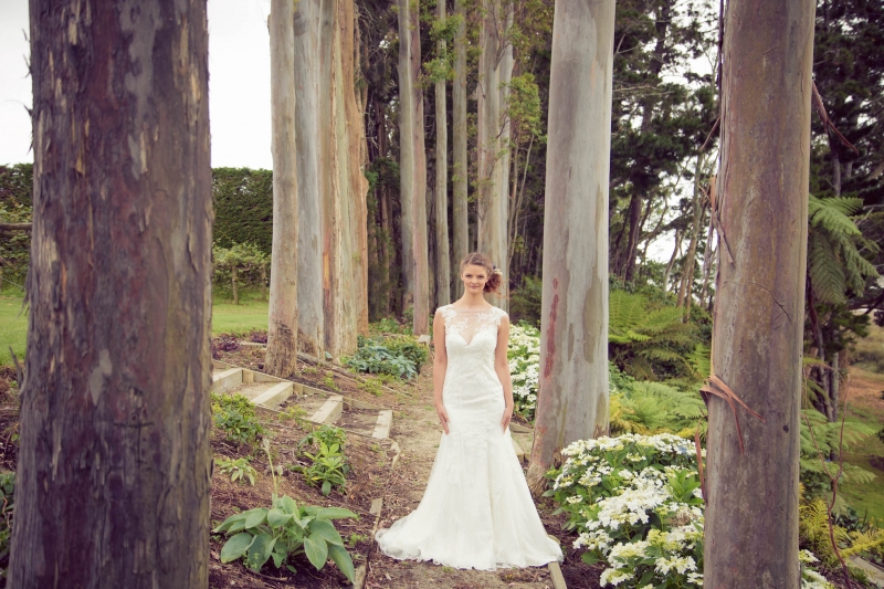 Matakana Island Inspiration Shoot: 3854832 - WeddingWise Lookbook - wedding photo inspiration