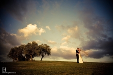 Cable Bay Vineyards: 9208 - WeddingWise Lookbook - wedding photo inspiration
