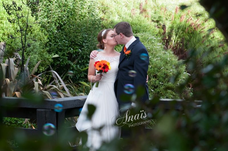 Simplicity in the Vineyard - Love among the trees: 8548 - WeddingWise Lookbook - wedding photo inspiration