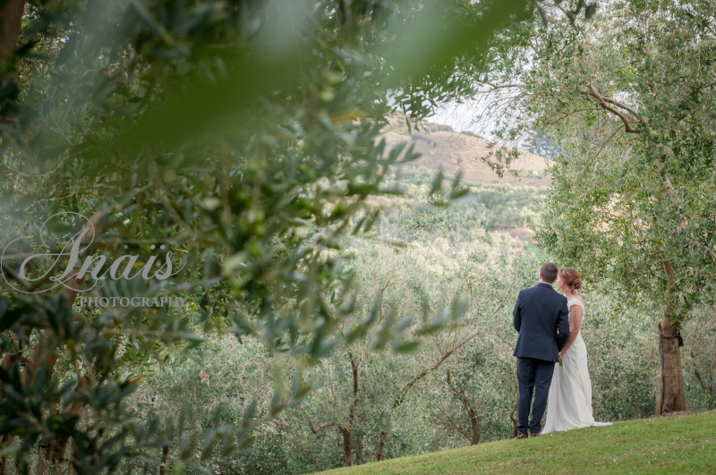 Simplicity in the Vineyard - Love among the trees: 8559 - WeddingWise Lookbook - wedding photo inspiration
