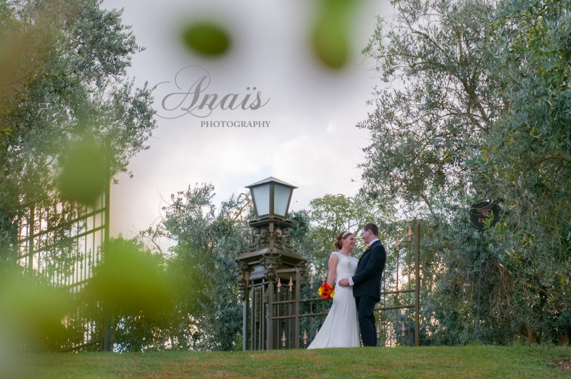 Simplicity in the Vineyard - Love among the trees: 8562 - WeddingWise Lookbook - wedding photo inspiration
