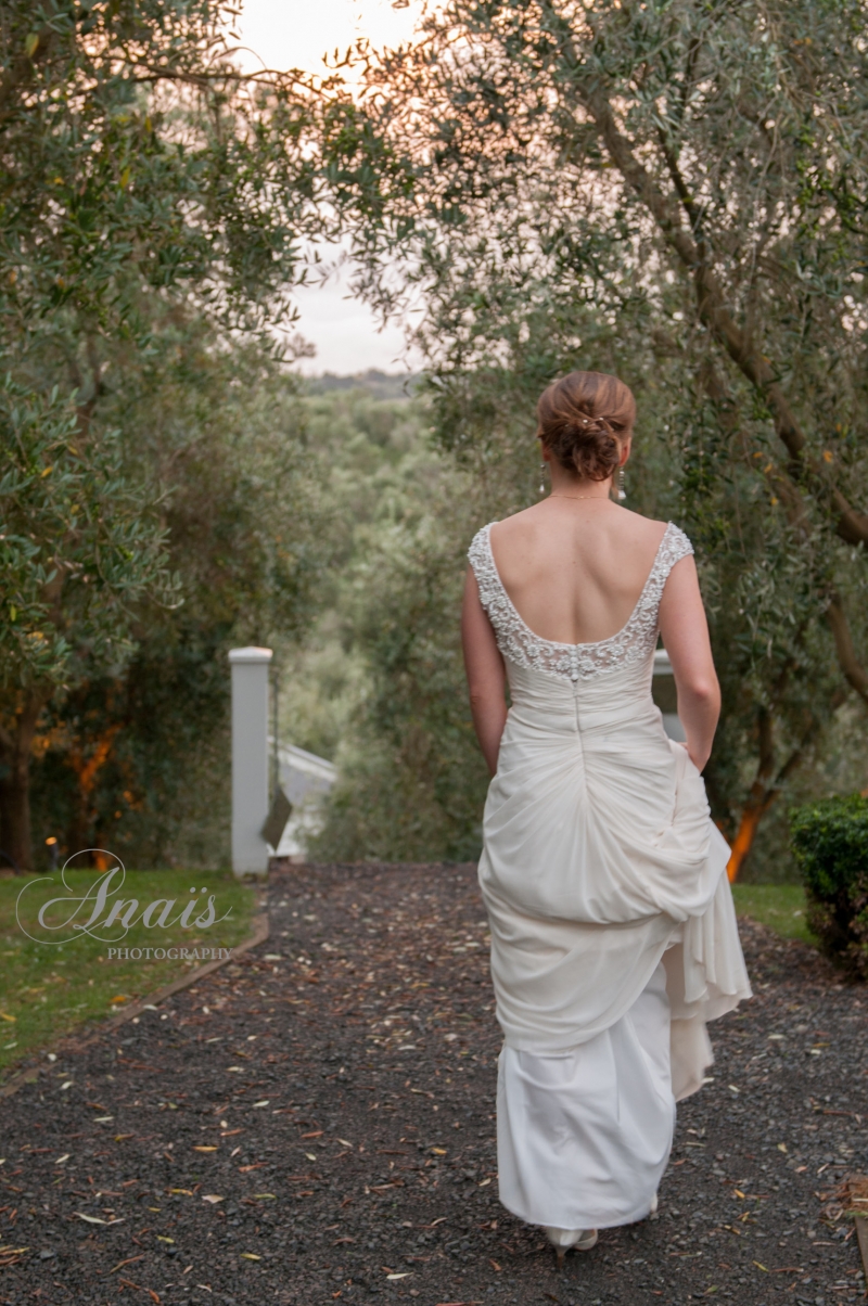 Simplicity in the Vineyard - Love among the trees: 8546 - WeddingWise Lookbook - wedding photo inspiration