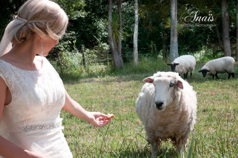 Bride in the Farm: 8053 - WeddingWise Lookbook - wedding photo inspiration