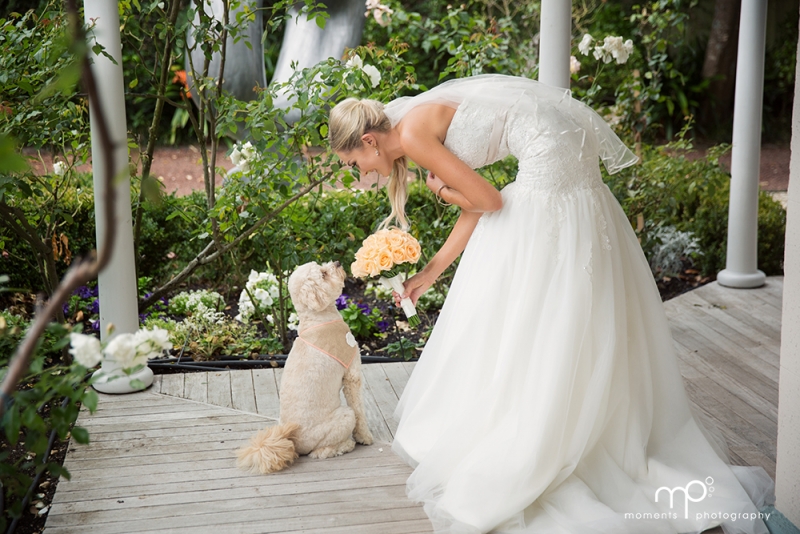 Blake & Ashlee: 6442 - WeddingWise Lookbook - wedding photo inspiration