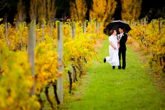 Bride and Groom: 6779 - WeddingWise Lookbook - wedding photo inspiration