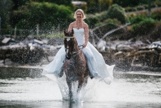 Samantha & Jaron: 13564 - WeddingWise Lookbook - wedding photo inspiration