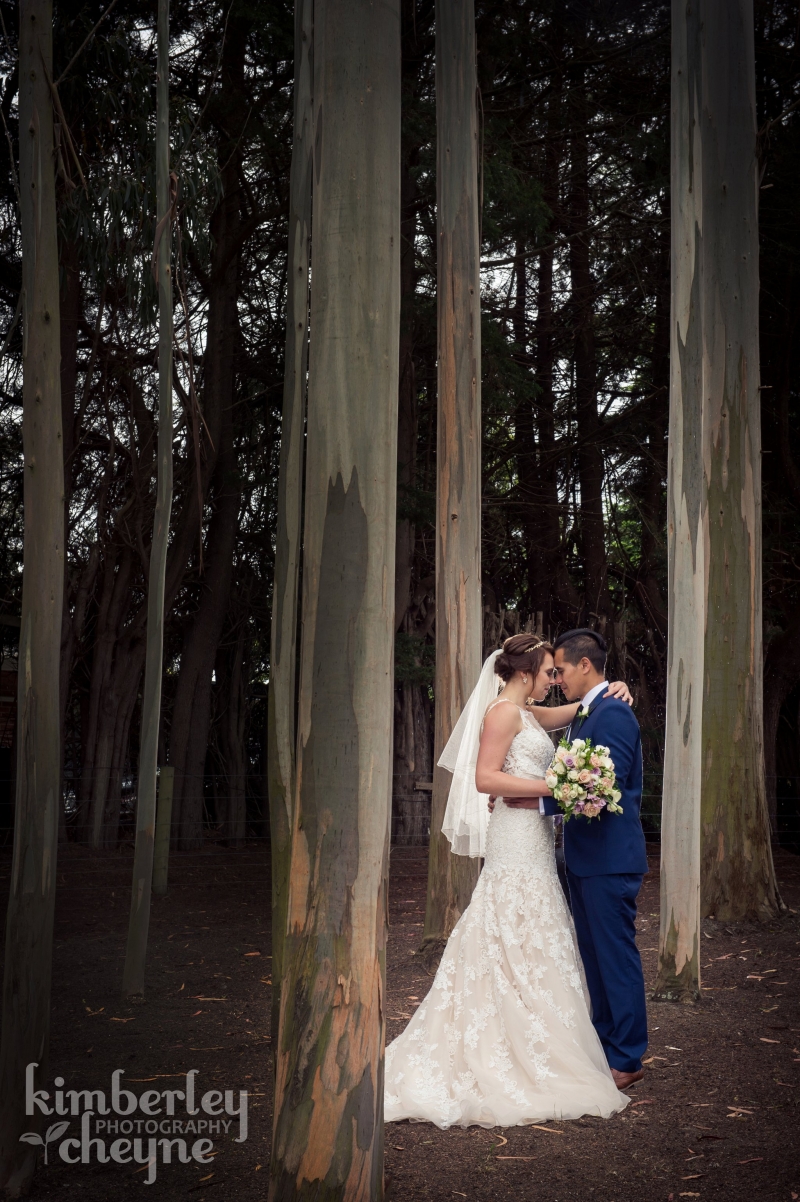 Wedding - Dunedin: 14072 - WeddingWise Lookbook - wedding photo inspiration
