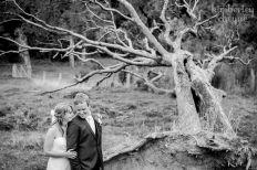 Wedding - Farm: 14111 - WeddingWise Lookbook - wedding photo inspiration