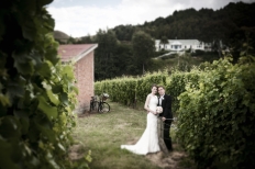 Weddings at Mission Estate Winery : 6044 - WeddingWise Lookbook - wedding photo inspiration