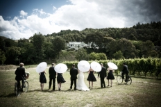 Weddings at Mission Estate Winery : 6049 - WeddingWise Lookbook - wedding photo inspiration