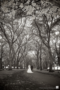 Kelly Newland Photography - Weddings: 4423 - WeddingWise Lookbook - wedding photo inspiration