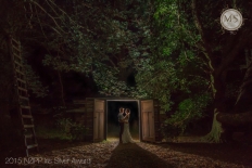 2015 NZIPP Iris Awards: 12357 - WeddingWise Lookbook - wedding photo inspiration