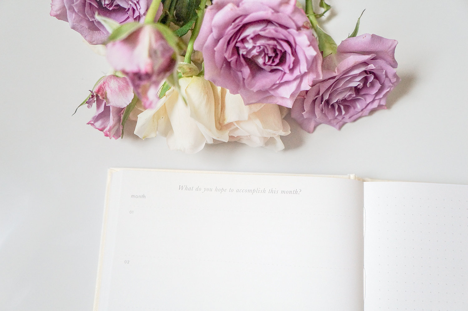 Little White Book - Wedding Diary & Organiser - WeddingWise Articles